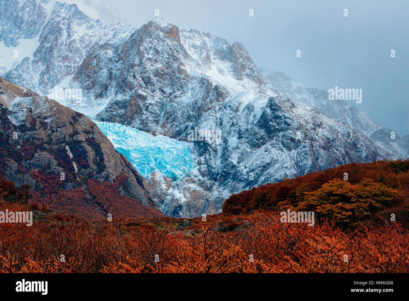 Clear blu sky over  Glaciar Piedras Blancas and beech trees. Los Glaciares National Park, Andes, Patagonia, Argentina Stock Photo