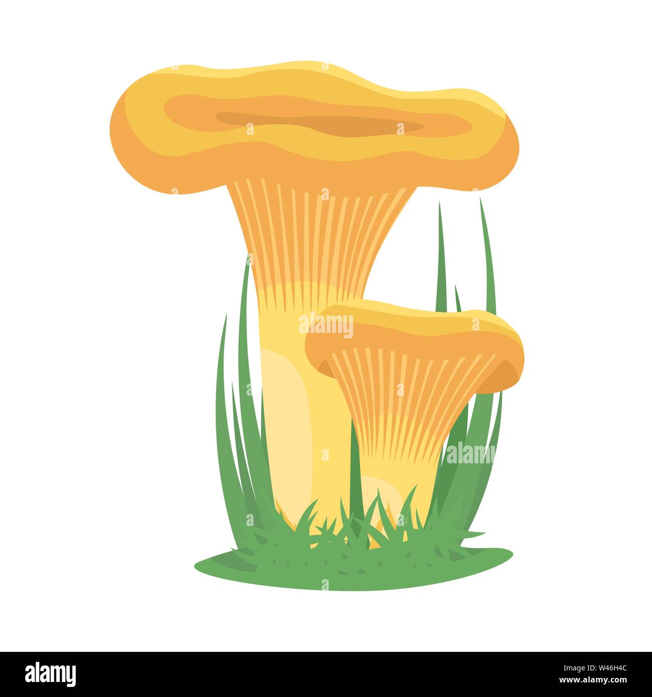 Two chanterelle mushrooms grow on a grass Stock Vector