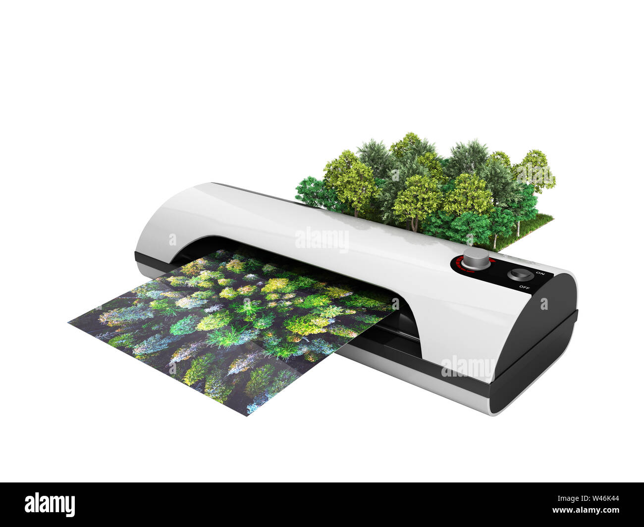 Modern high resolution wide format printing concept The real forest is