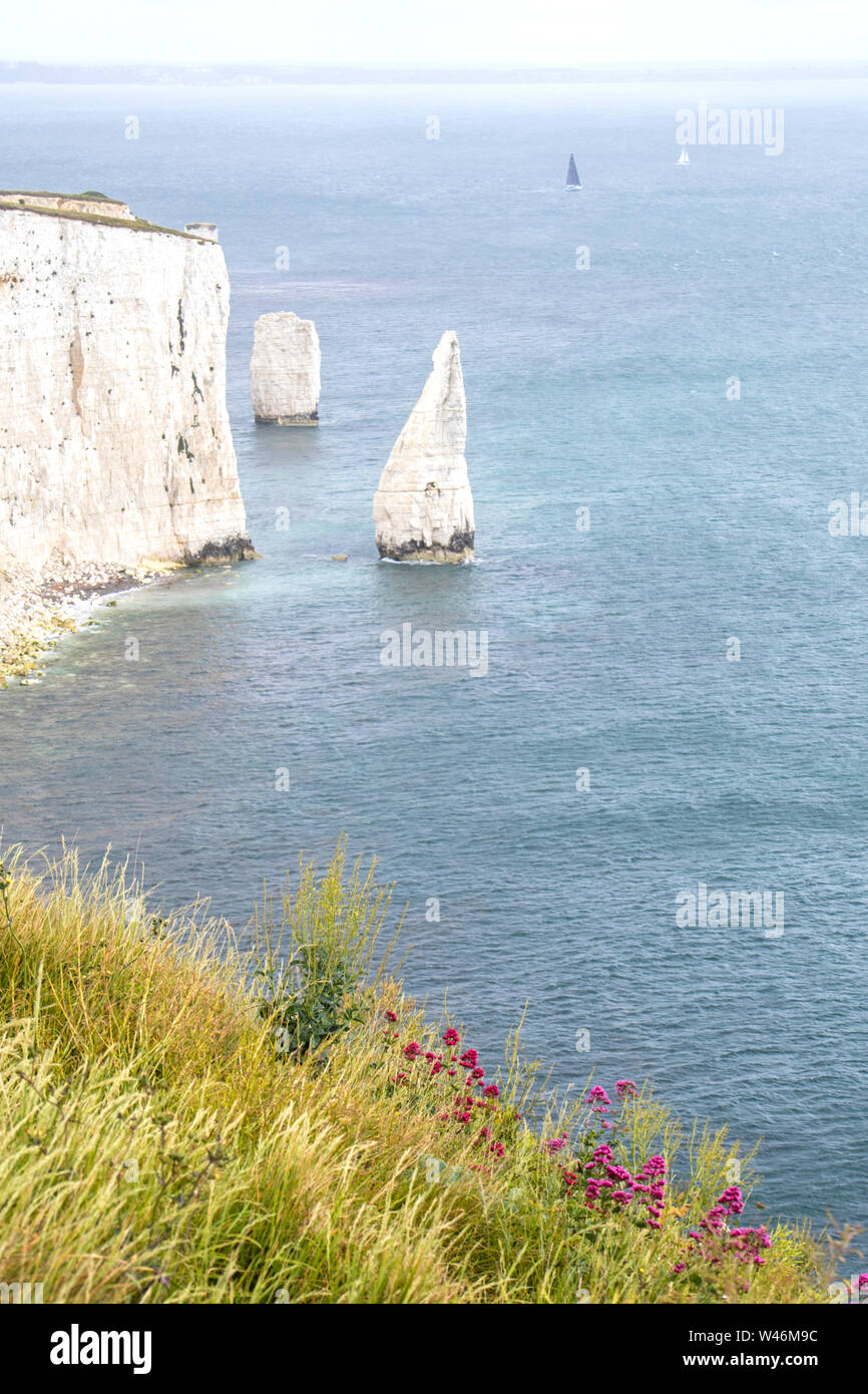 The Pinnacles from Ballard Down on the Dorset coast, England, UK Stock Photo