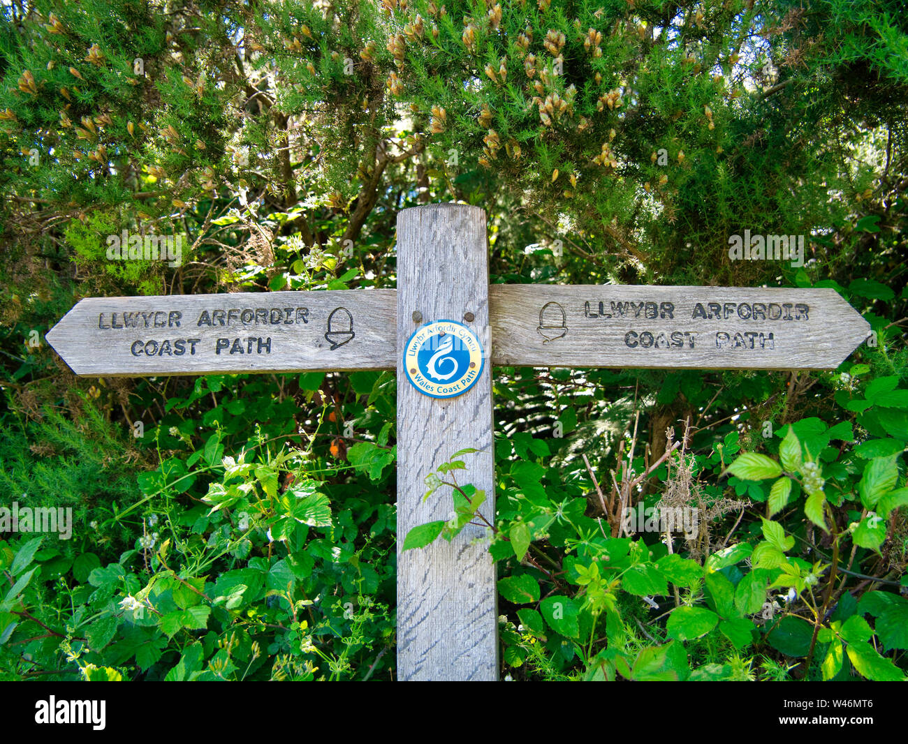 Pembrokeshire Coastal Path Sign High Resolution Stock Photography and ...