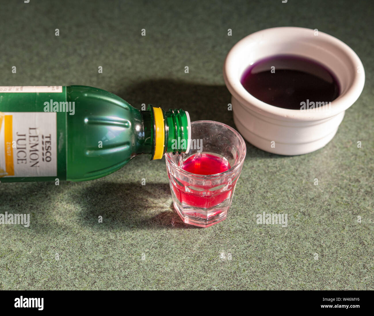 Red cabbage chemistry experiment hires stock photography and images