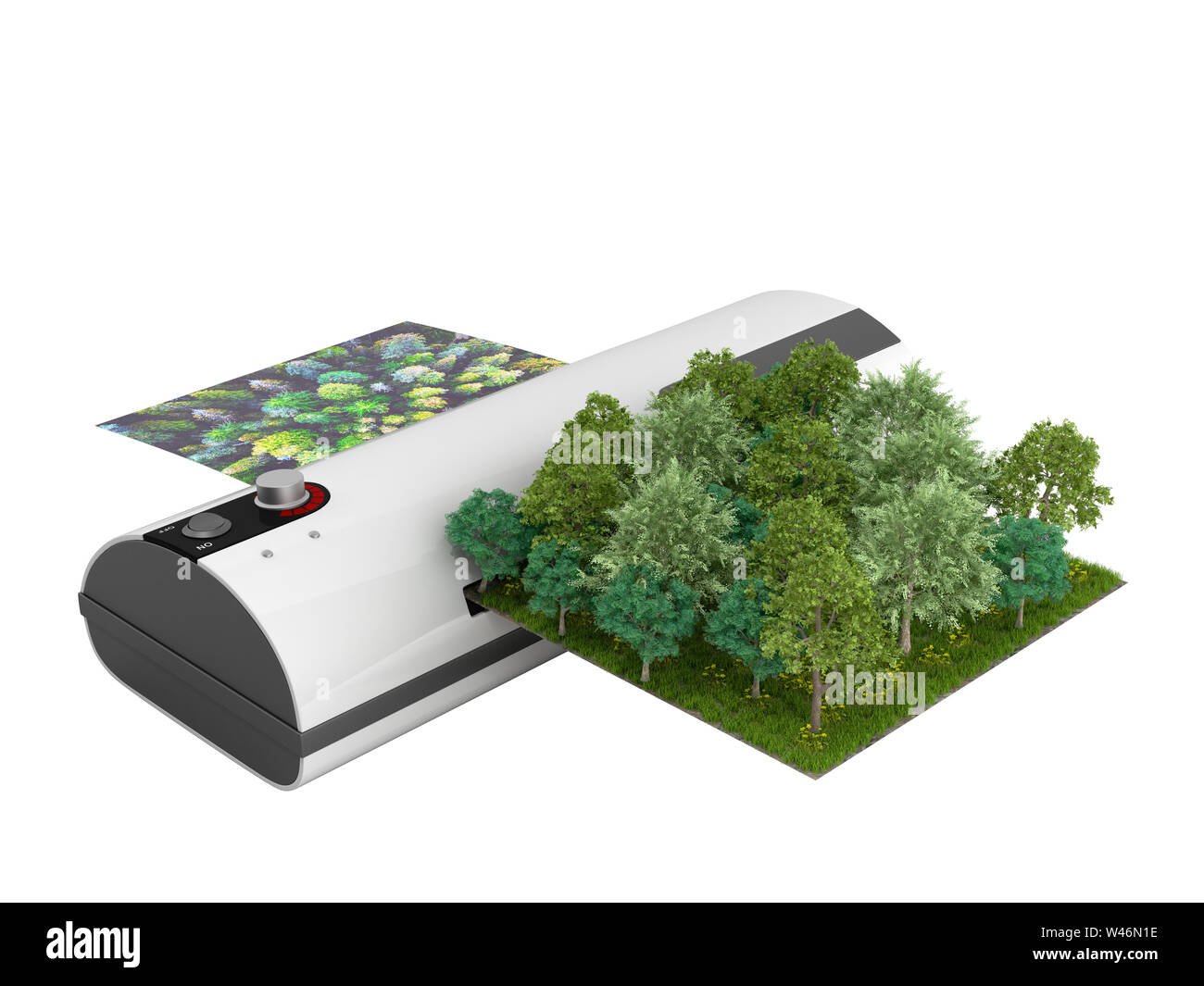 Modern high resolution wide format printing concept The real forest is