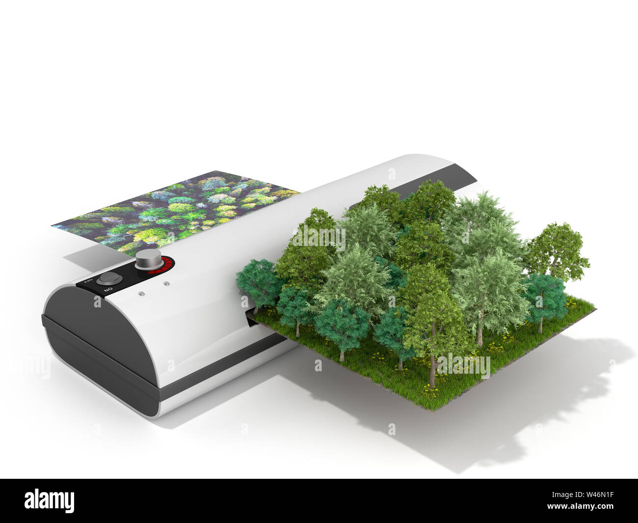 Modern high resolution wide format printing concept The real forest is
