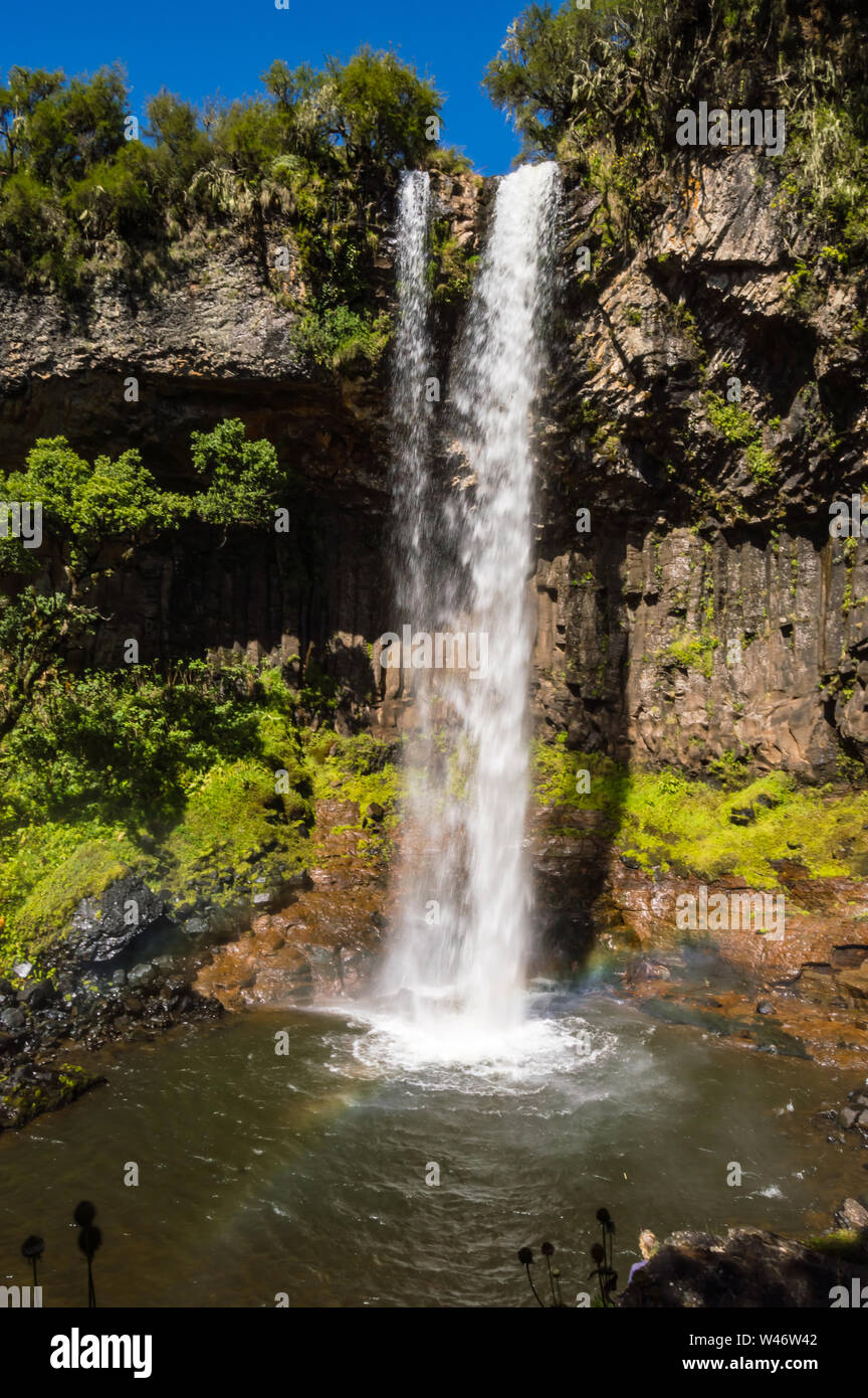 Basalt rock wall, partially covered in lush green rainforest vegetation, behind a curtain of water falling from Chania Waterfall, Aberdares, Kenya, Af Stock Photo