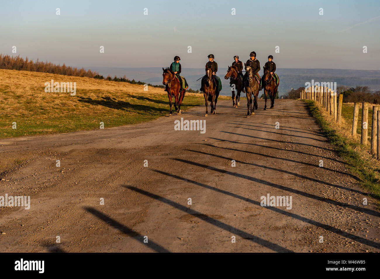 Jockeys exercise race horses on Middleham Gallops in North Yorkshire Stock Photo