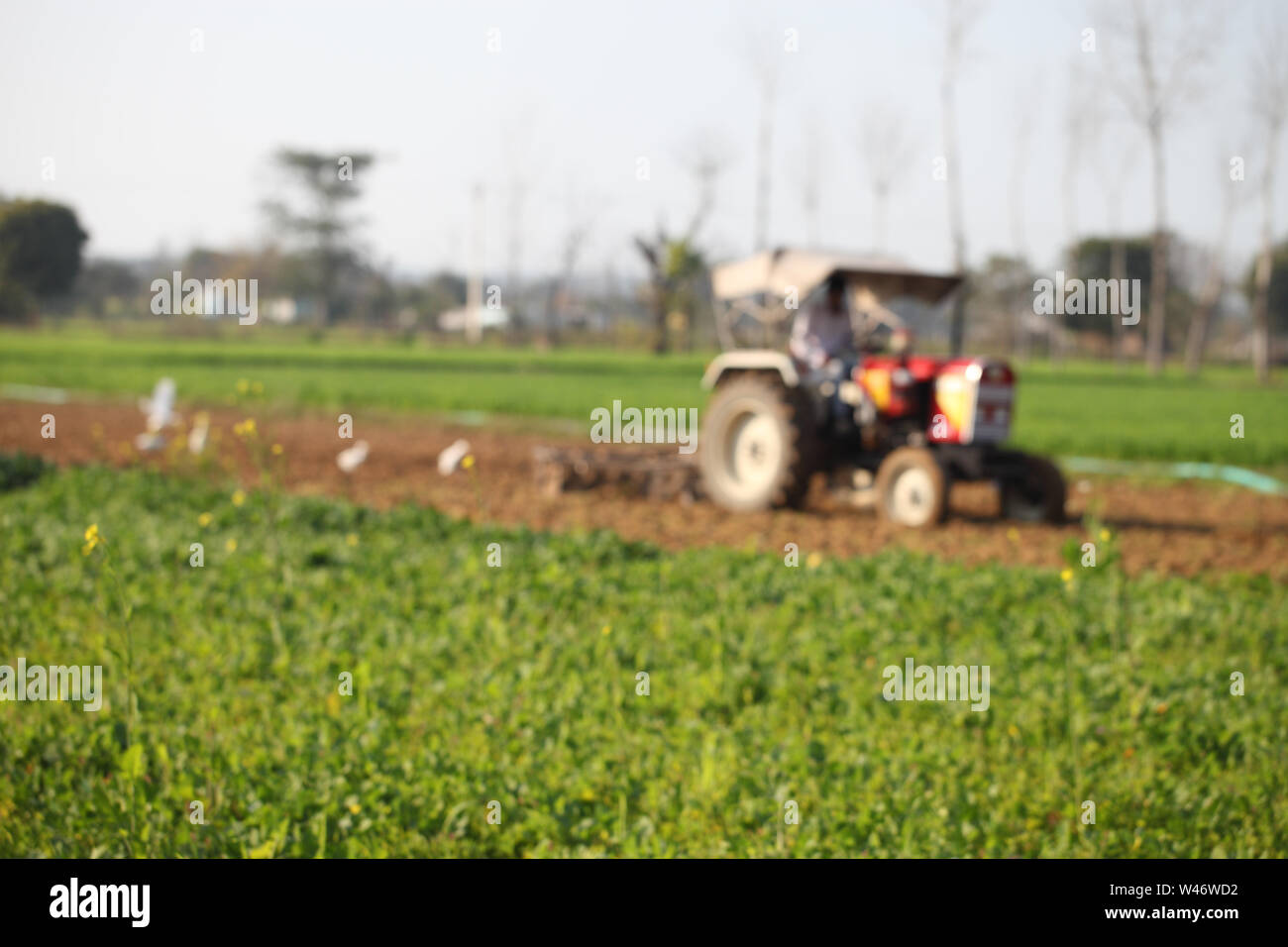 Indian farmer ploughing a field with tractor Stock Photo - Alamy