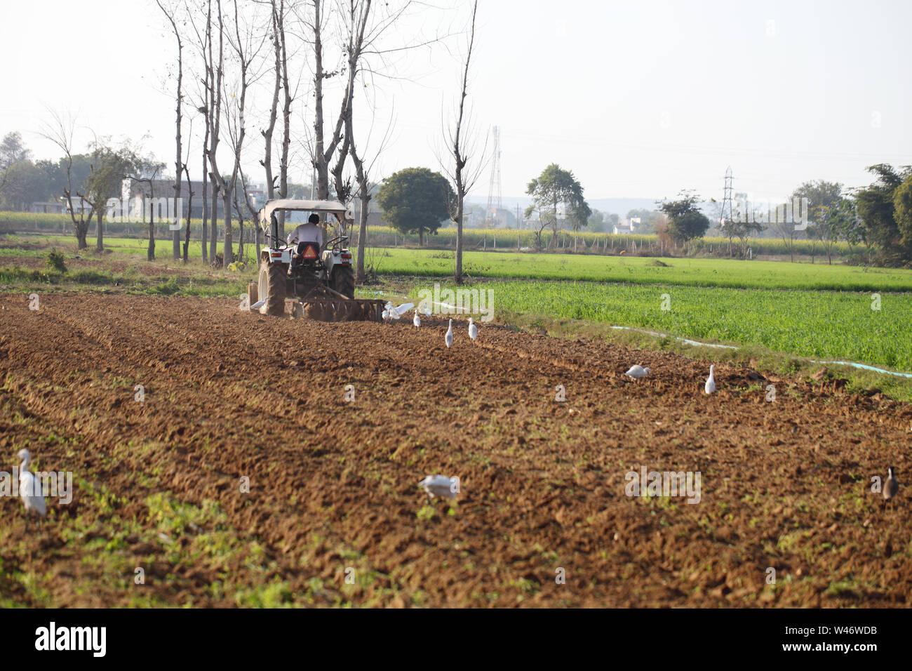 Indian farmer ploughing field tractor hi-res stock photography and ...