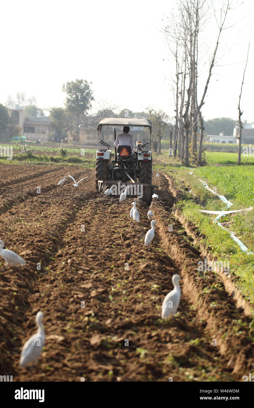 Indian farmer ploughing a field with tractor Stock Photo - Alamy