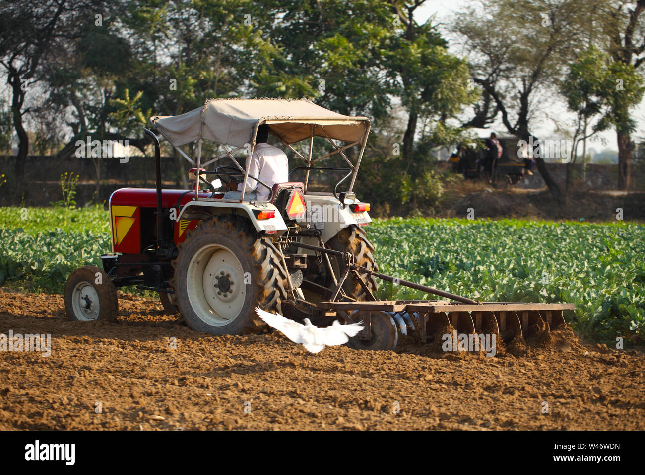 Farmer ploughing a field with tractor Stock Photo Alamy