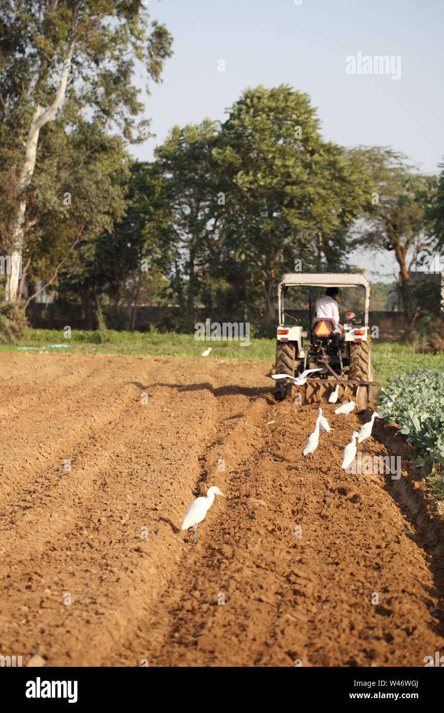 Indian farmer ploughing a field with tractor Stock Photo - Alamy