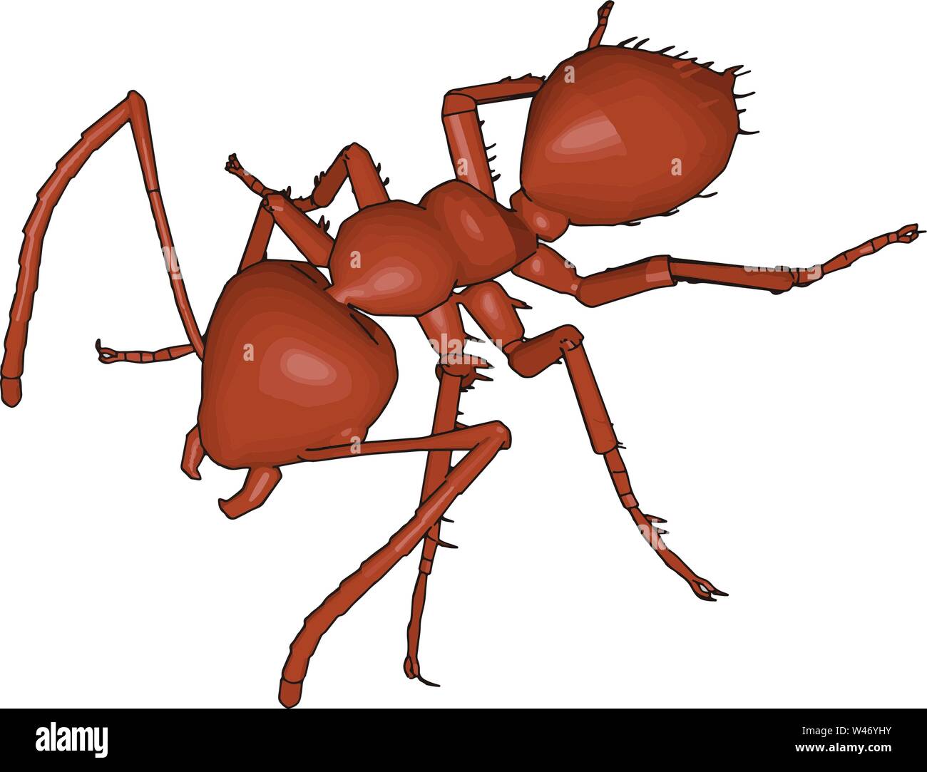 3D brown ant, illustration, vector on white background Stock Vector ...