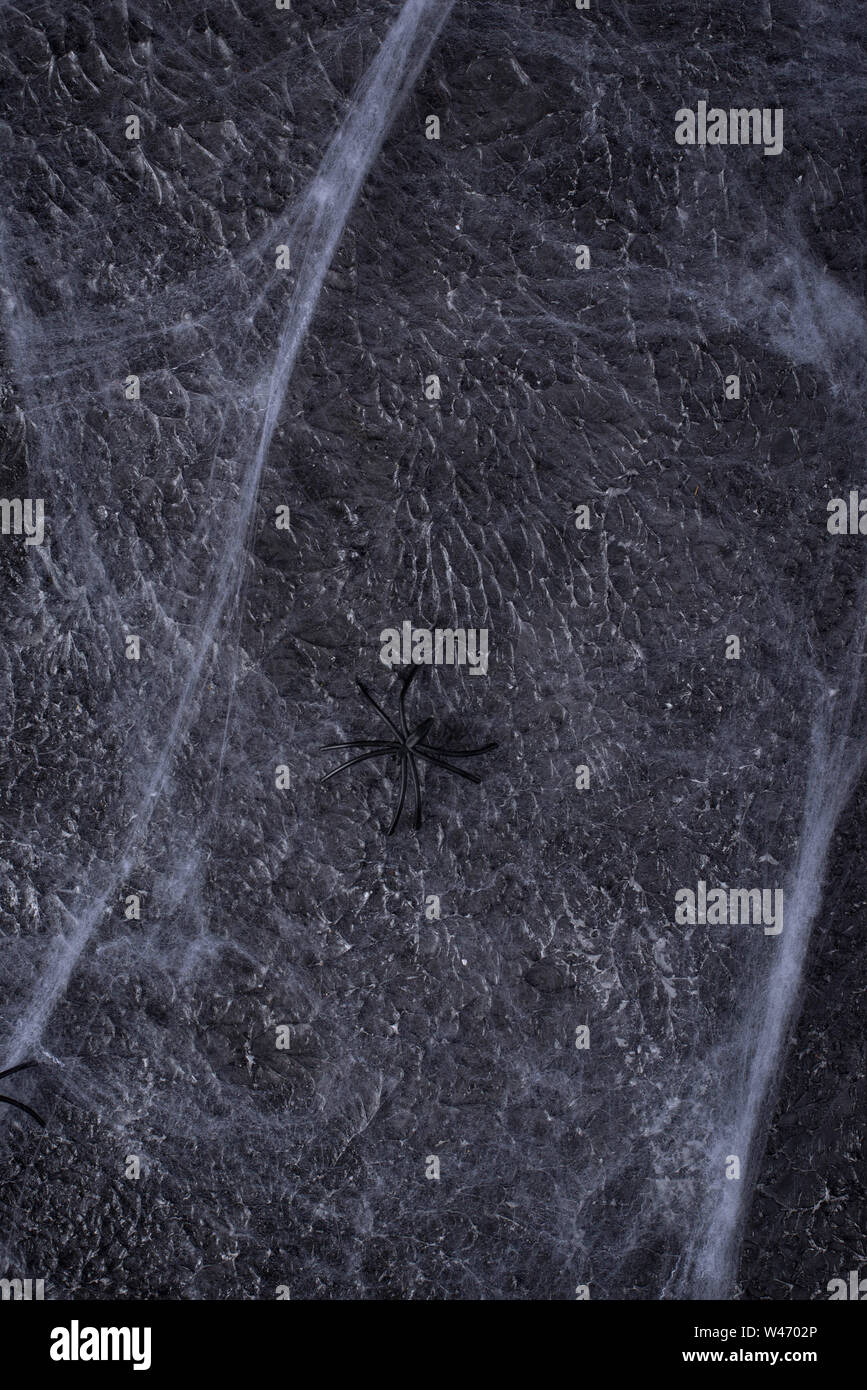 Halloween background with spider web. Top view Stock Photo - Alamy