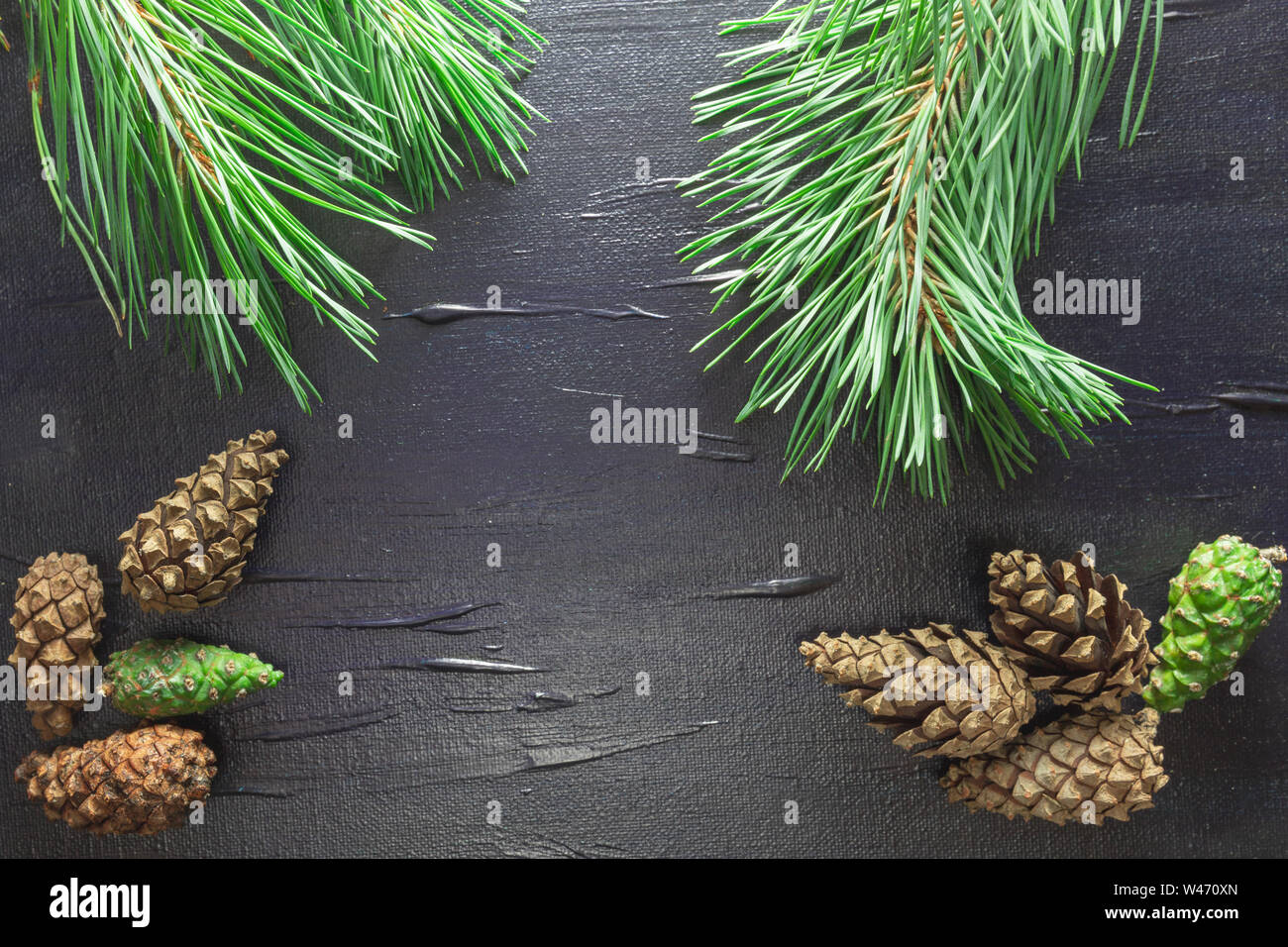 A black background with a pine motif. Cones and needles of a tree ...