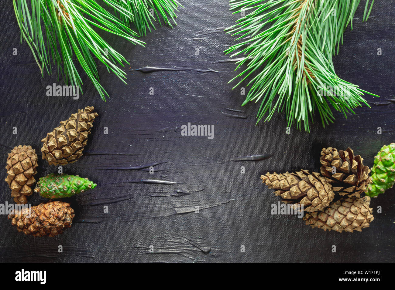 A black background with a pine motif. Cones and needles of a tree ...