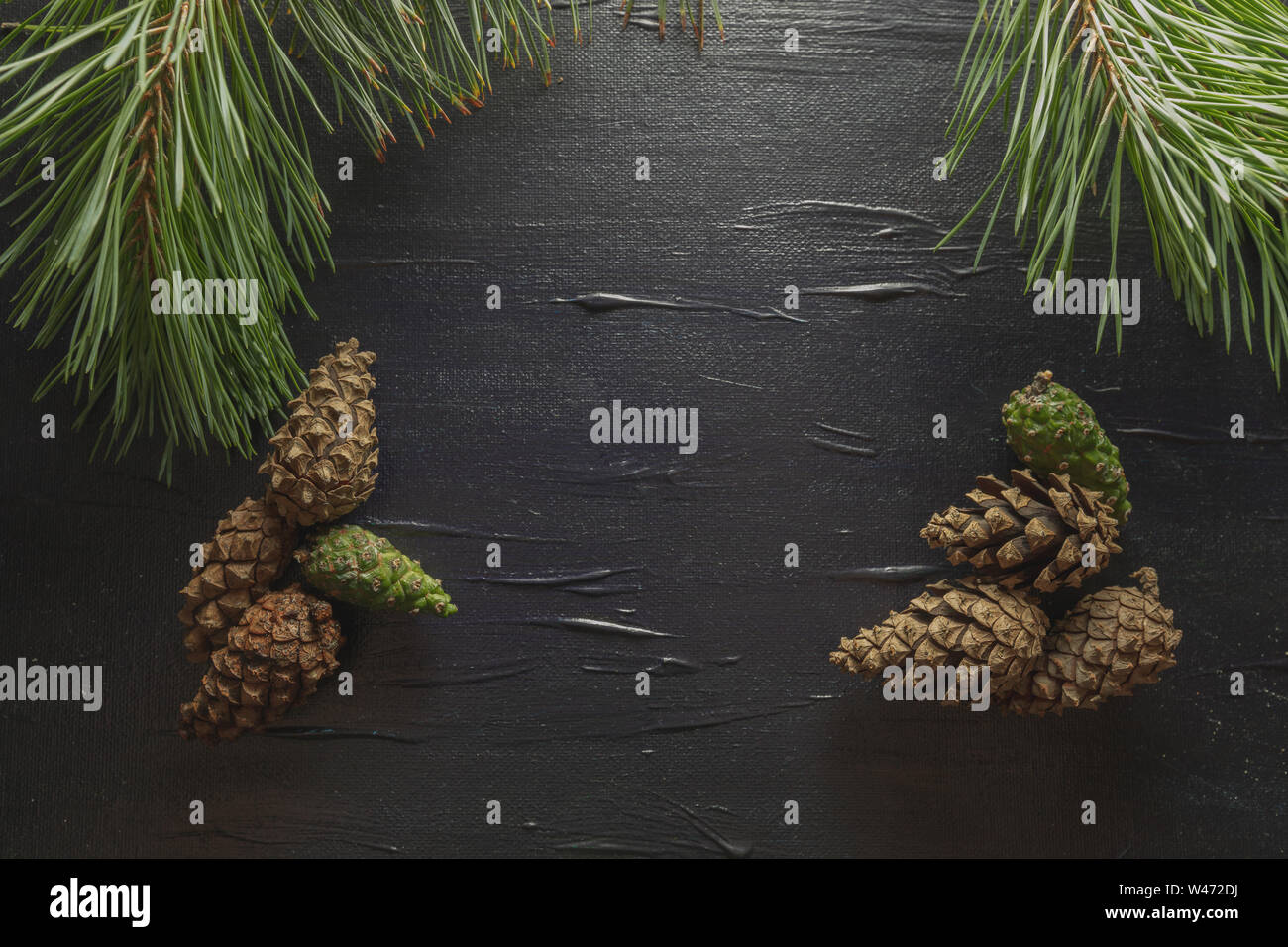 A black background with a pine motif. Cones and needles of a tree. Background for the restaurant menu, pub. Stock Photo