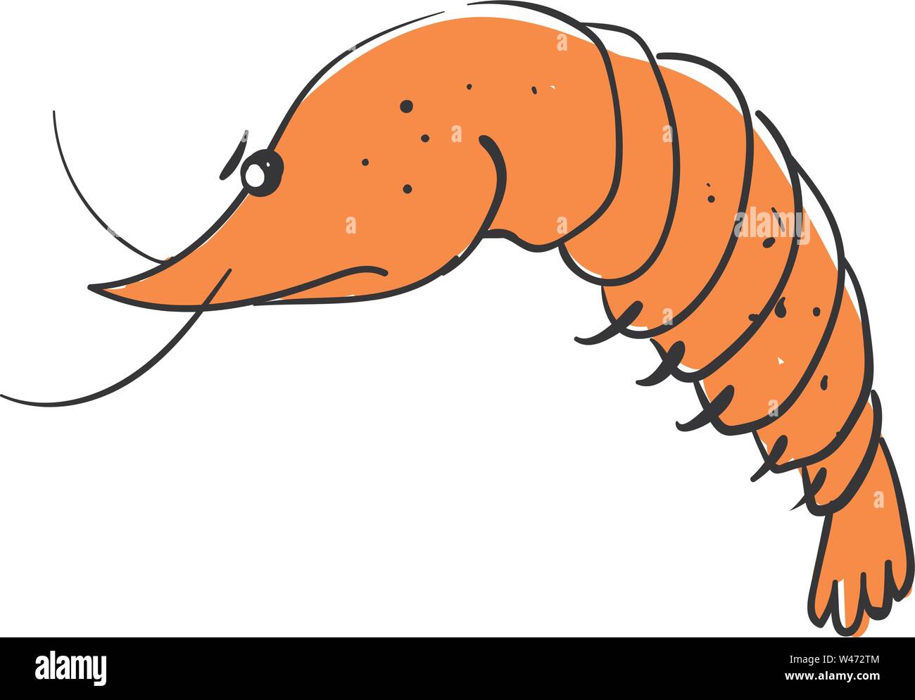 Angry shrimp, illustration, vector on white background. Stock Vector