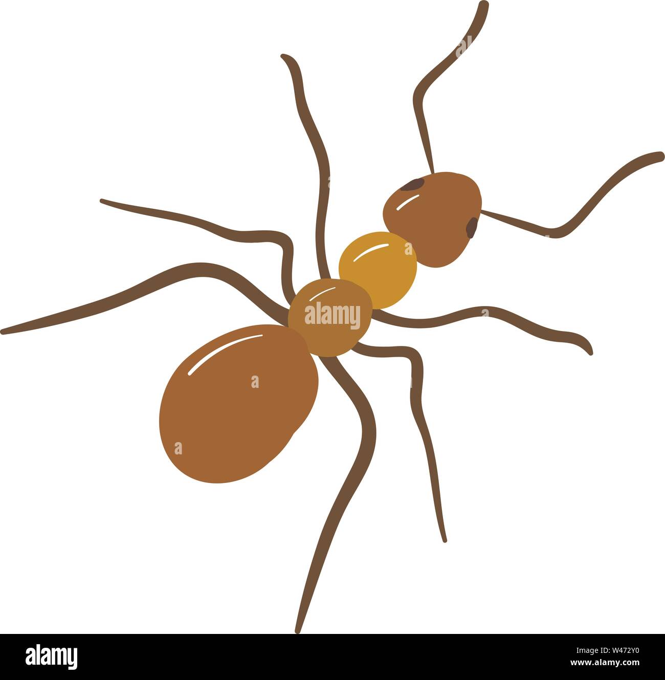 Brown ant, illustration, vector on white background. Stock Vector