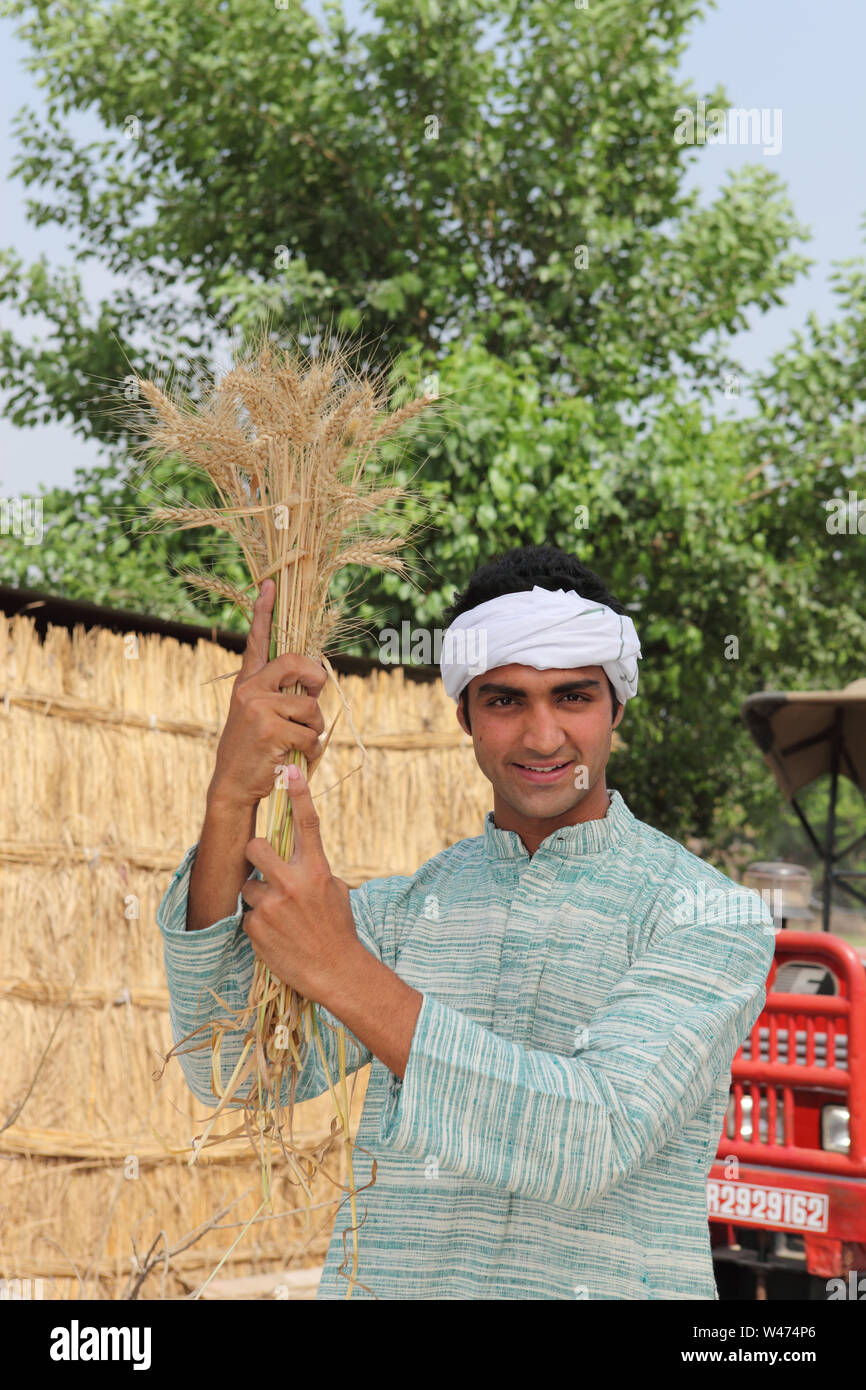 Portrait of a farmer holding bundle of wheat and smiling Stock Photo ...