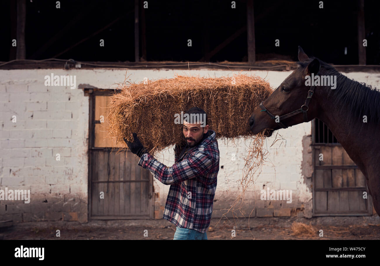 handsome horsekeeper carrying hay bales Stock Photo Alamy