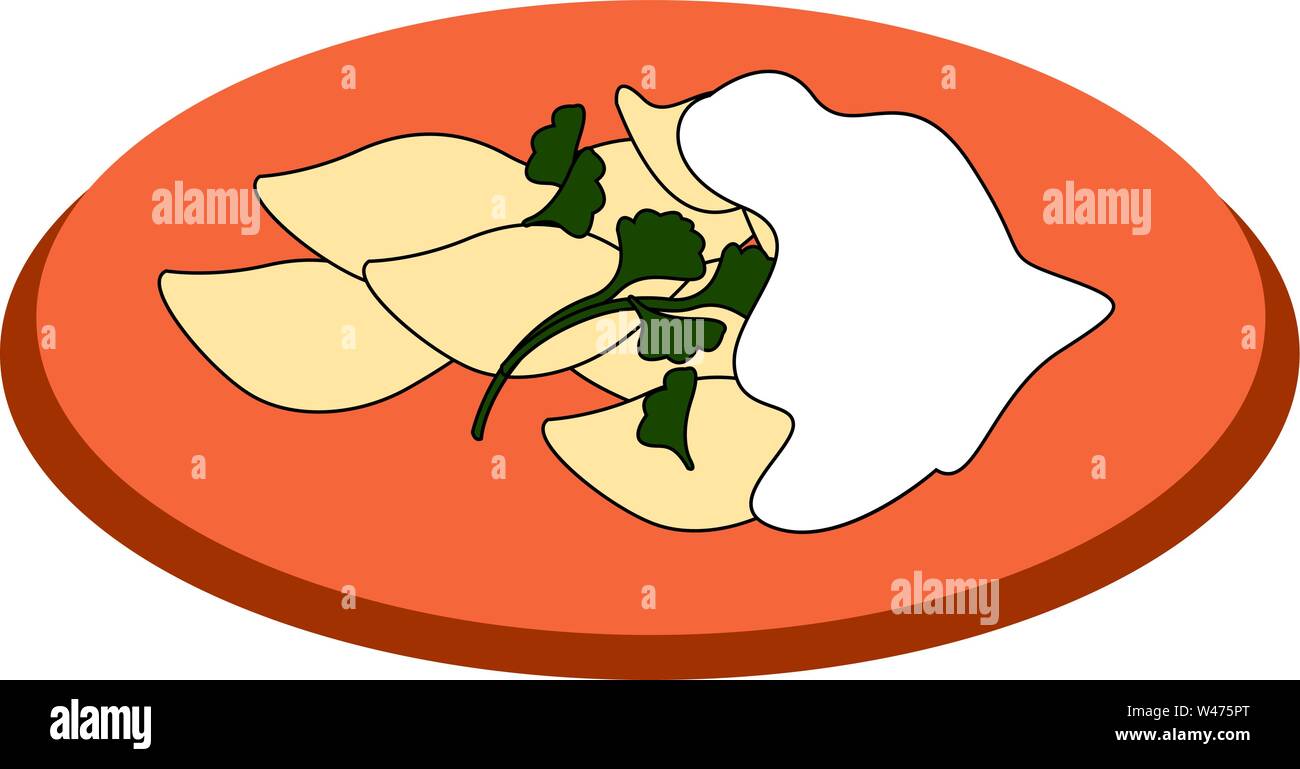 Dumplings on a plate, illustration, vector on white background. Stock Vector