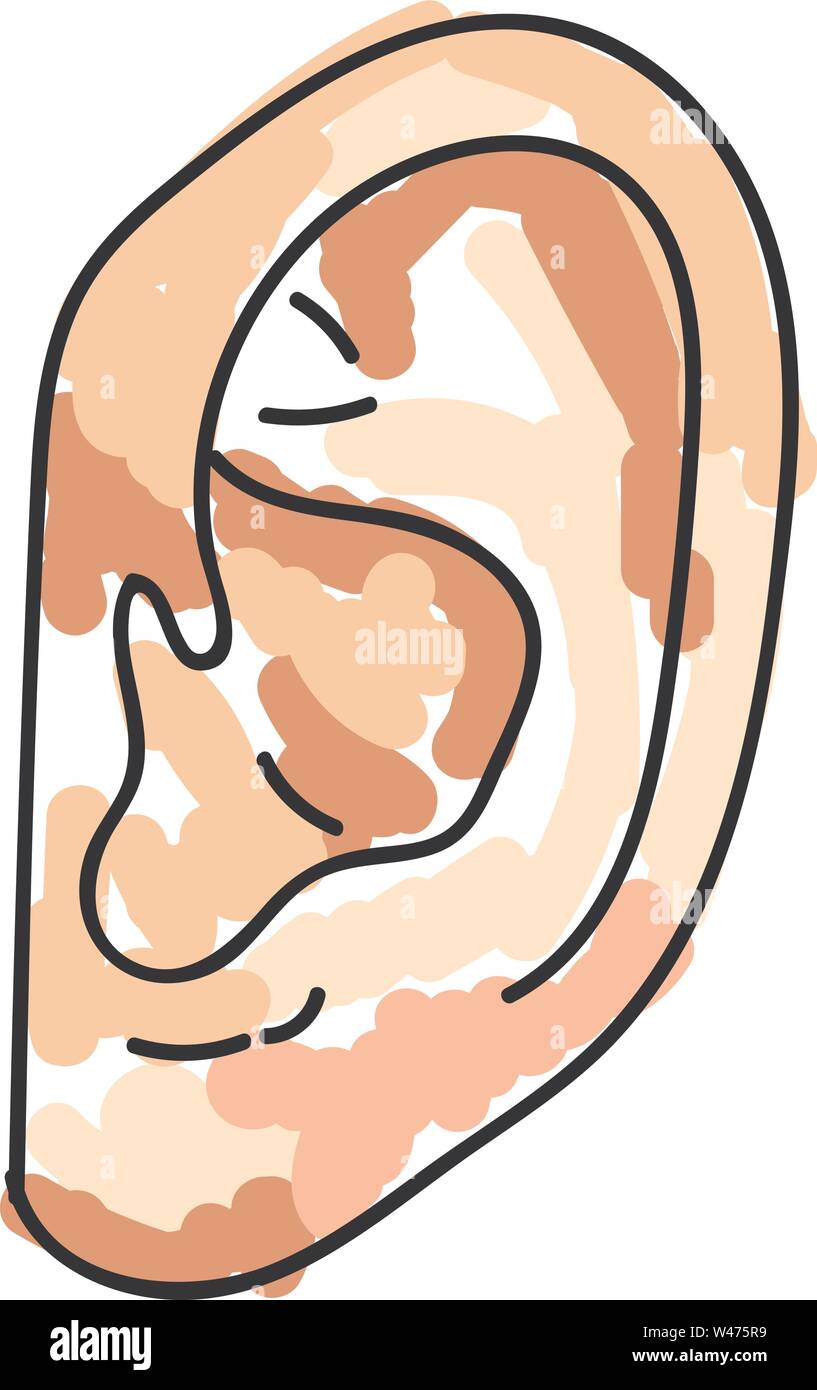 Big ear, illustration, vector on white background. Stock Vector
