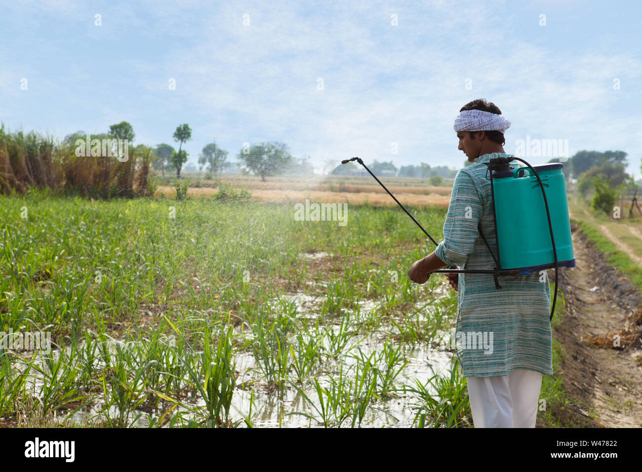 Farmer spraying pesticide on crop Stock Photo - Alamy