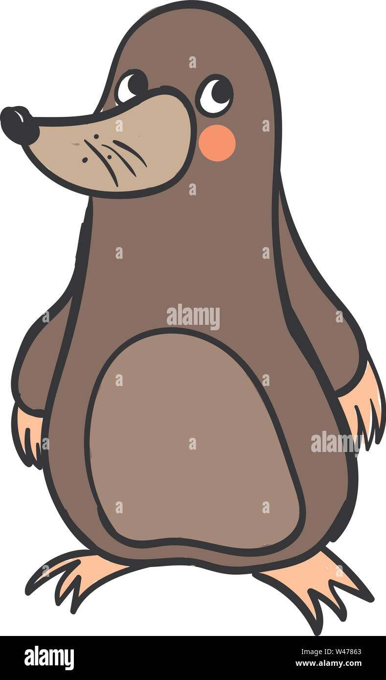 Cute fat mole, illustration, vector on white background. Stock Vector