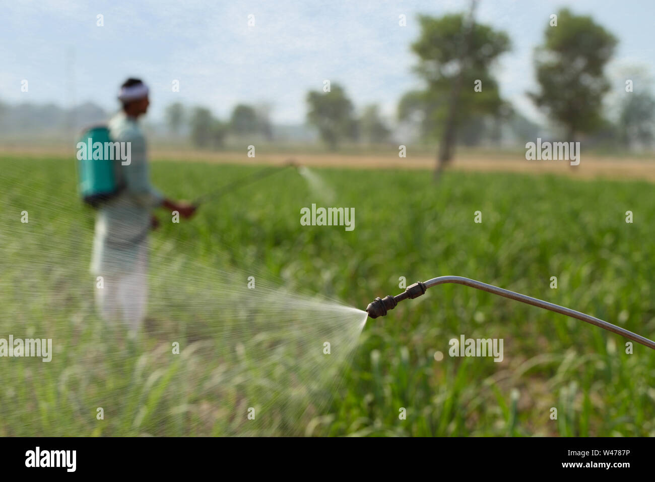 Indian farmer spraying pesticide on crop Stock Photo - Alamy