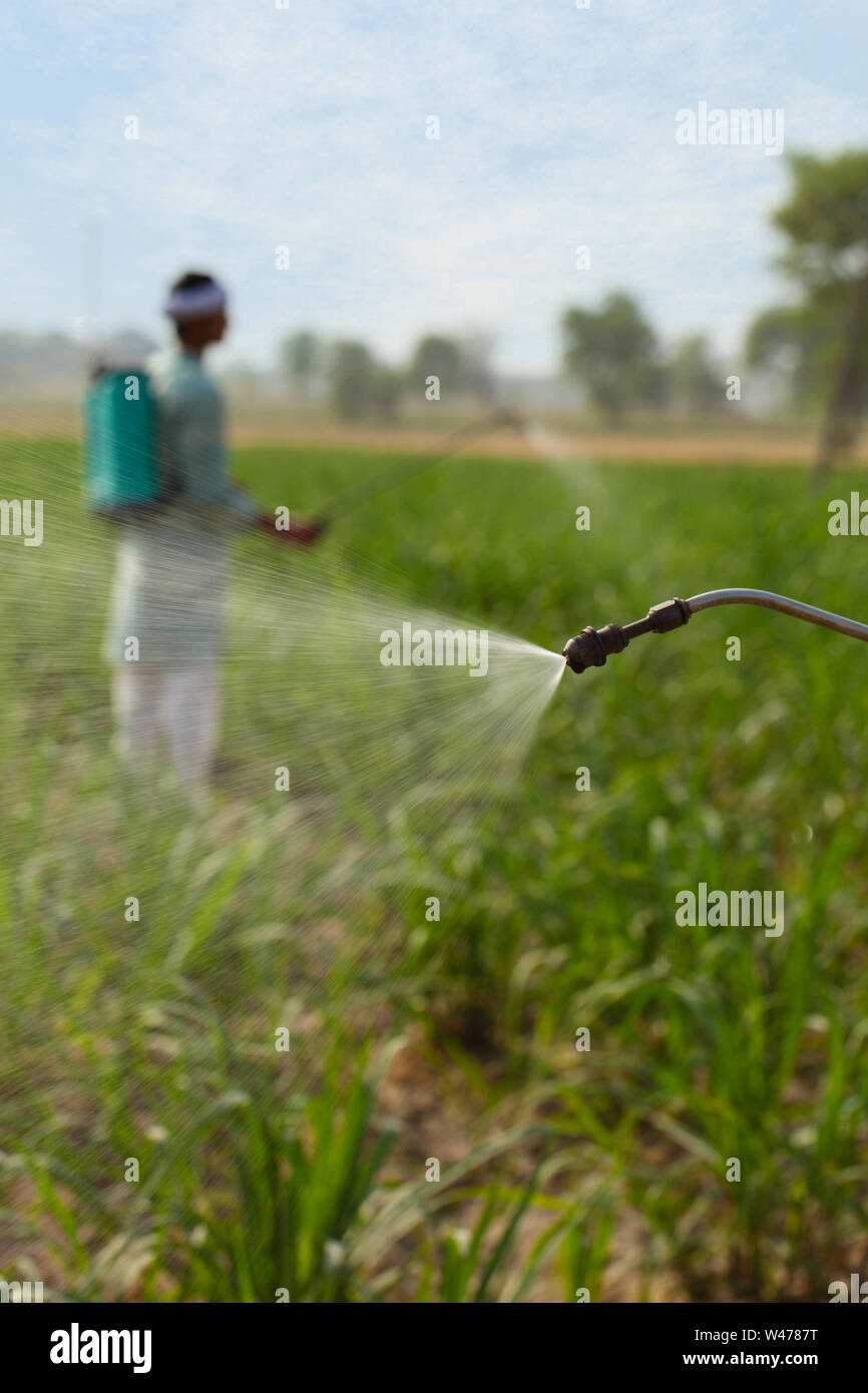 Indian farmer spraying pesticide on crop Stock Photo - Alamy