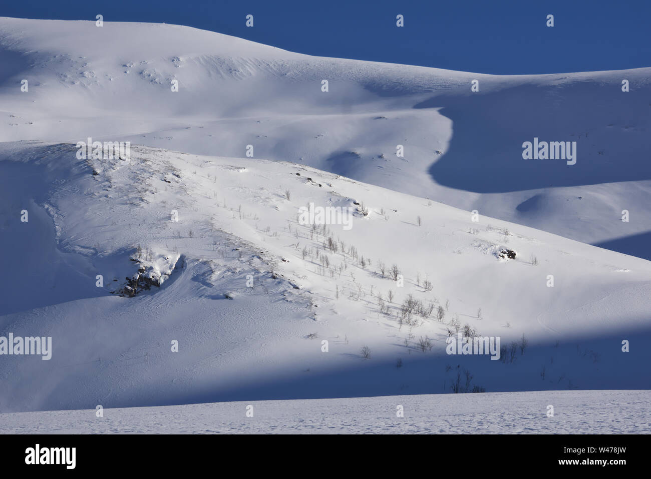 Arctic tundra in winter, Tromso, Norway Stock Photo