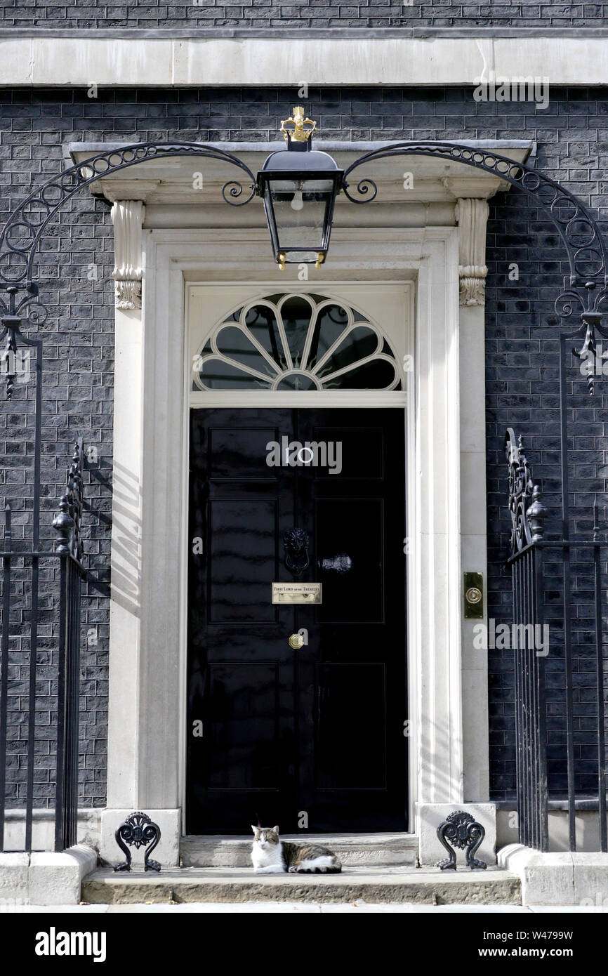Larry the cat lies in the sun in Downing Street, London. Stock Photo