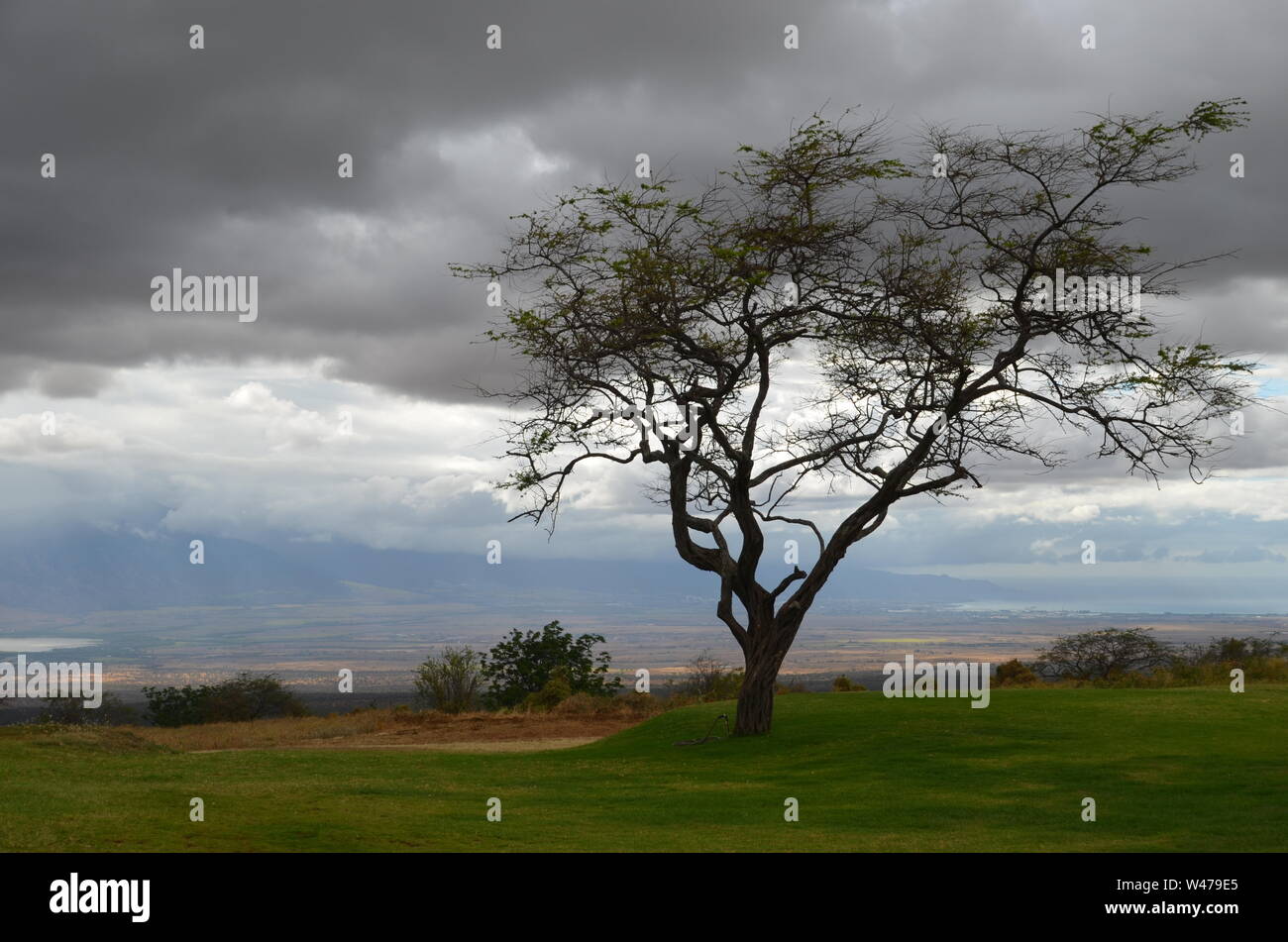 Hawaiian Homelands in Kula, Maui, Hawaii Stock Photo Alamy
