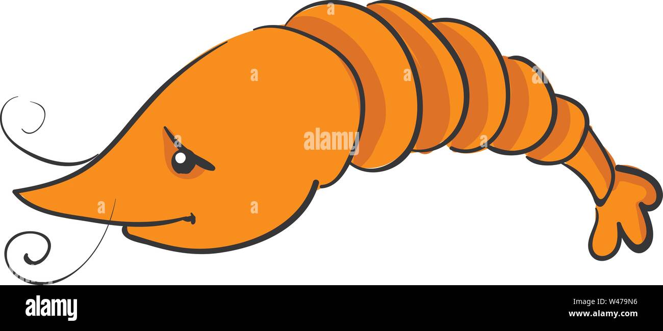 Sad shrimp, illustration, vector on white background. Stock Vector
