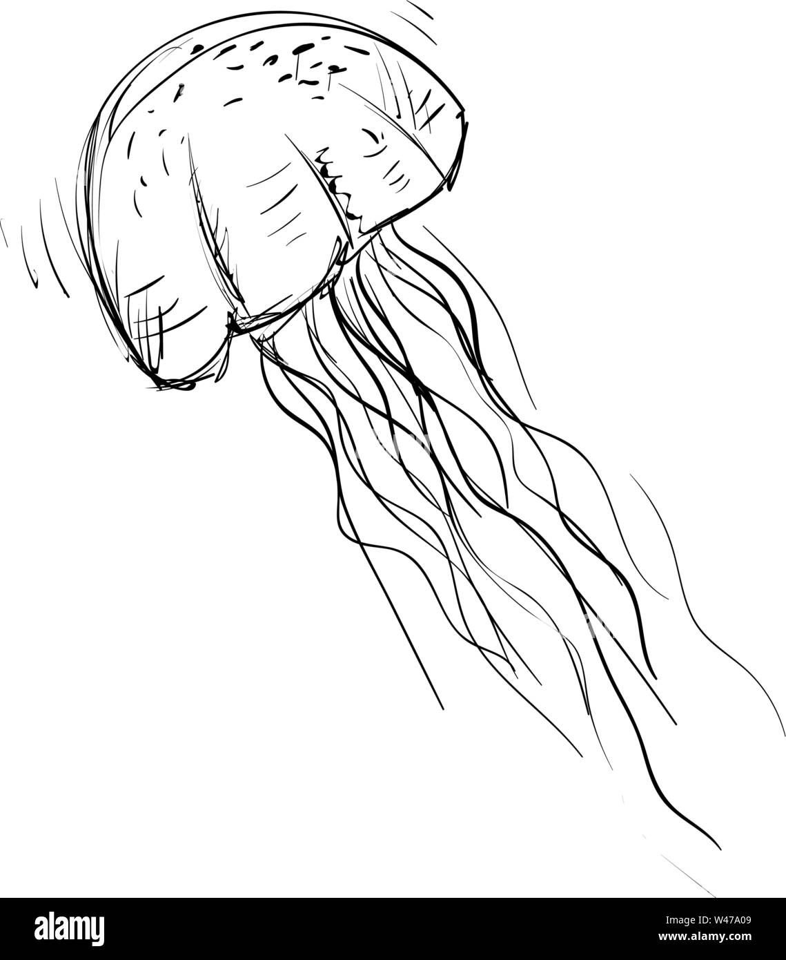  How To Draw Jellyfish Step By Step in the world The ultimate guide 