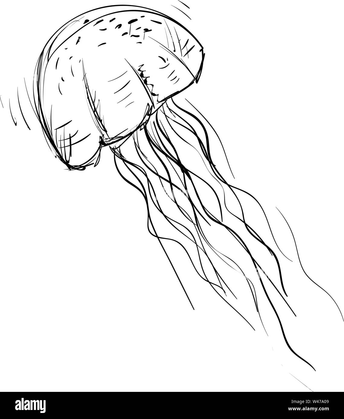 jellyfish drawing