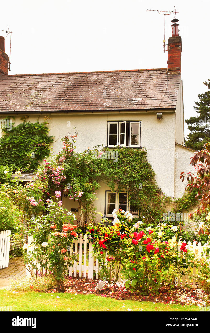 English Country Cottage with Rose Garden Stock Photo
