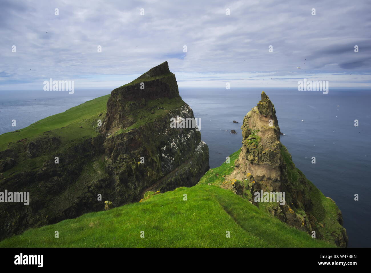 Sea cliffs of island Mykines, the Faroe islands, in summer Stock Photo
