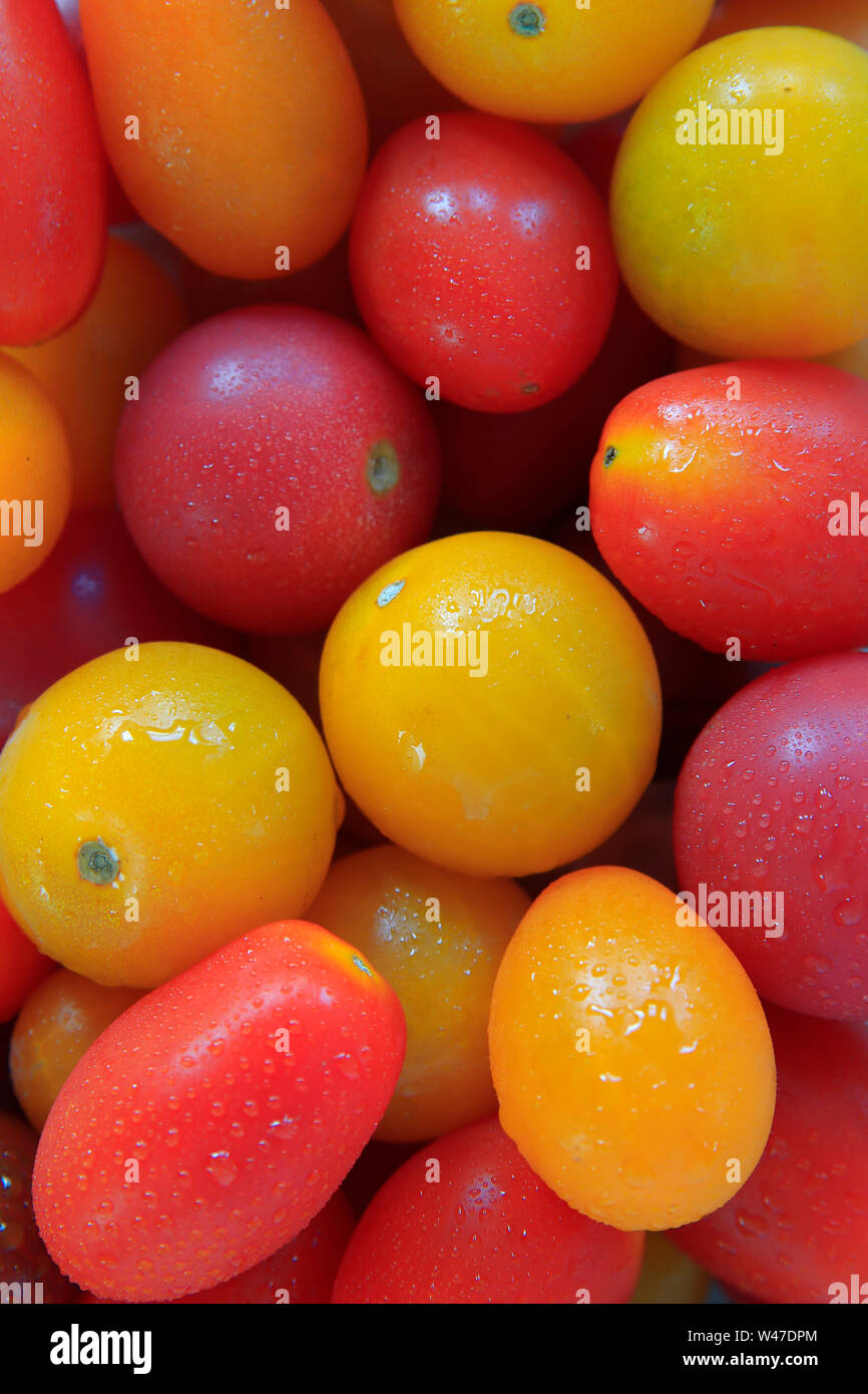 Variety of heirloom cherry tomatoes grouped together Stock Photo