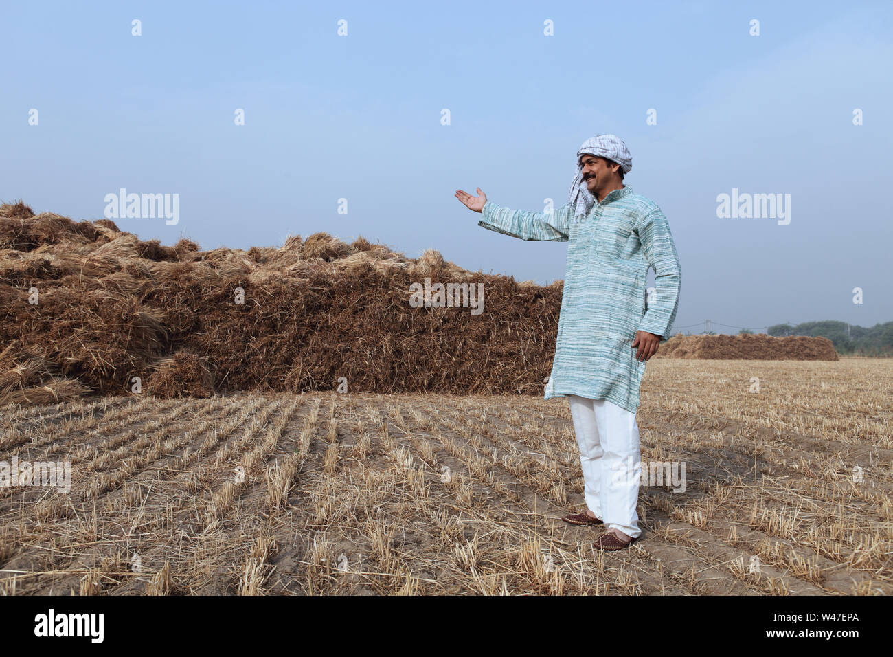 Farmer showing his harvested crop in a field Stock Photo - Alamy