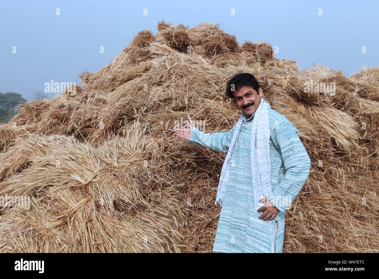 Farmer showing his harvested crop in a field Stock Photo - Alamy