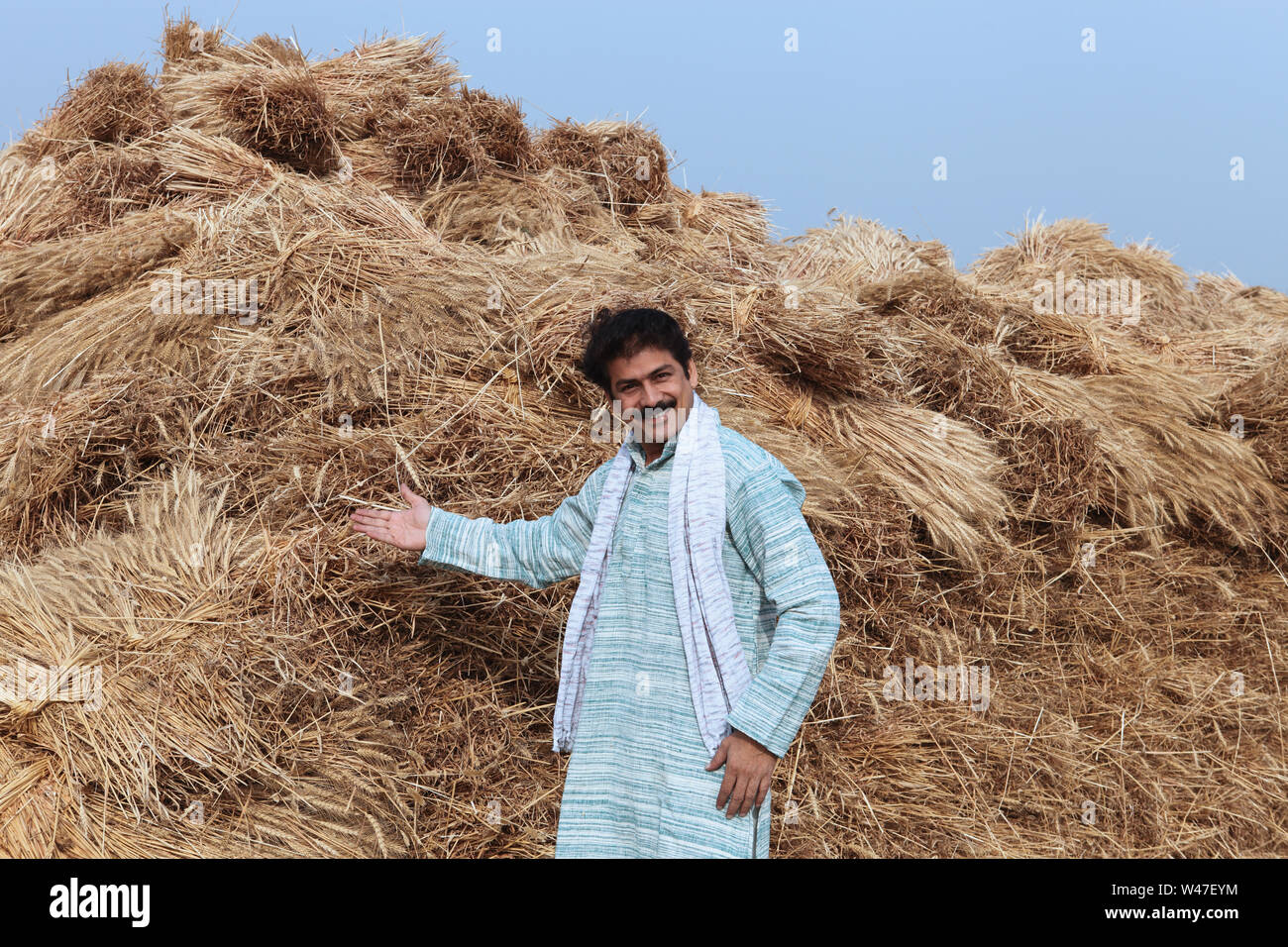 Farmer showing his harvested crop in a field Stock Photo - Alamy