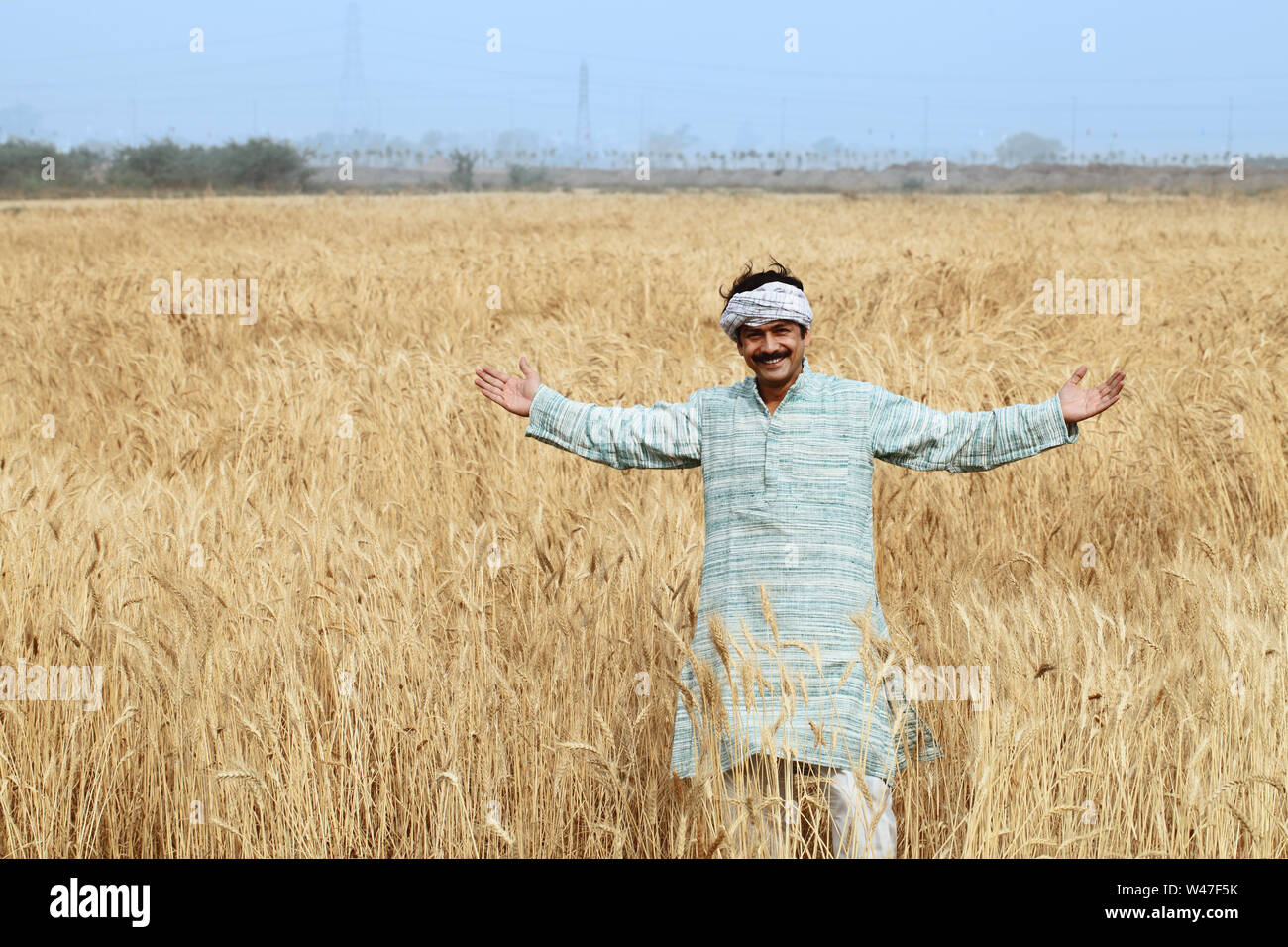 Indian farmer wheat field hi-res stock photography and images - Alamy
