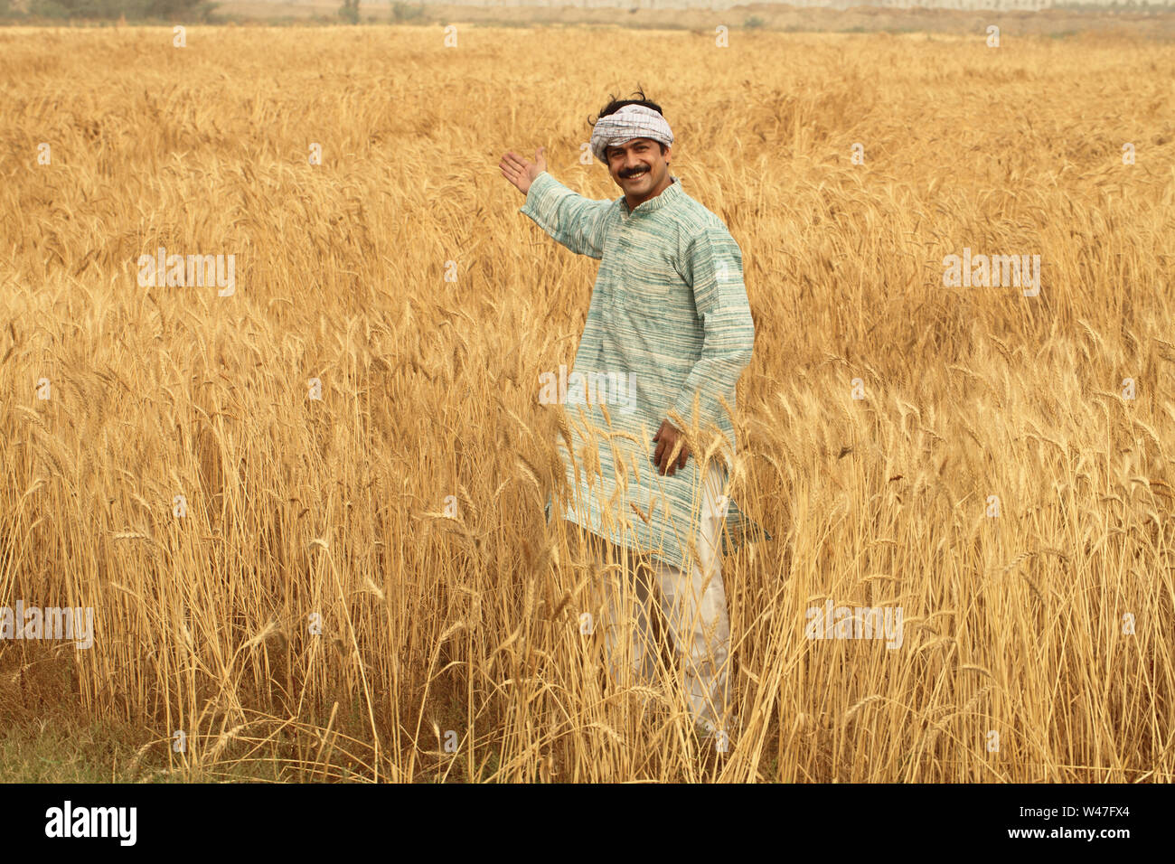 Farmer showing his field Stock Photo - Alamy