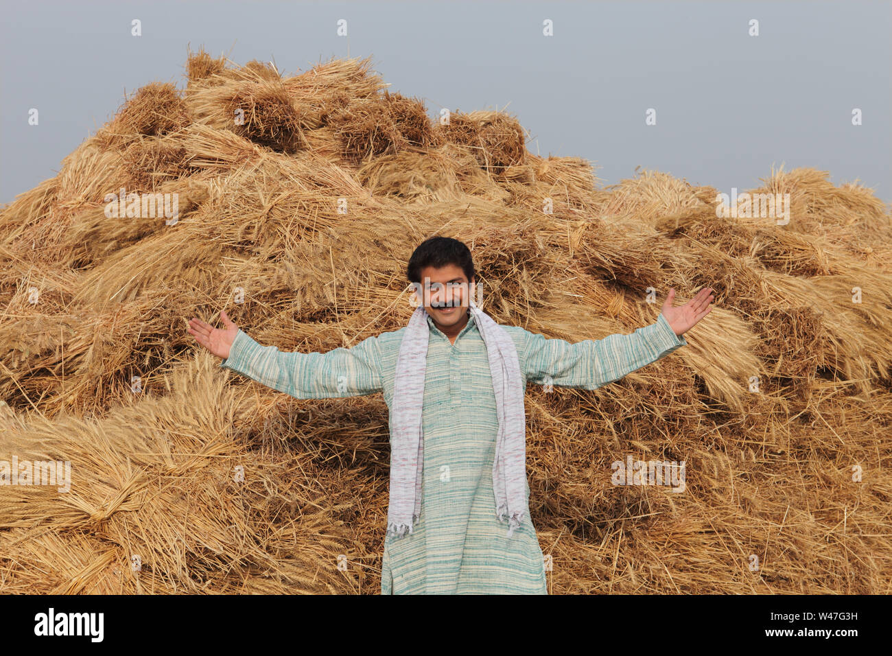 Farmer showing his harvested crop in a field Stock Photo - Alamy