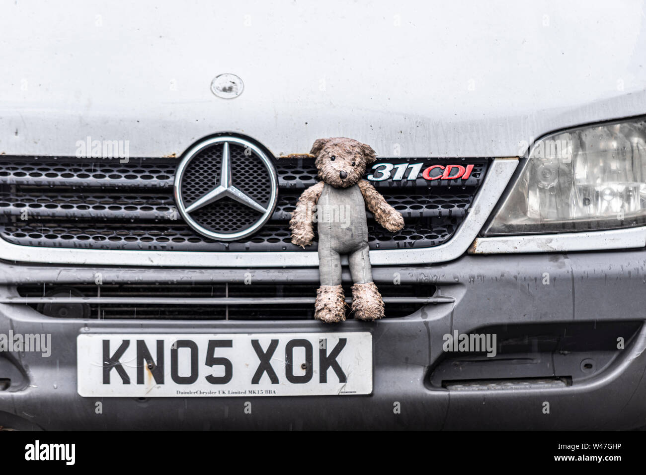 Old van with sad worn weathered looking child's toy teddy bear attached to the front bonnet grill. Wet from rain and dirty from road grime. Bedraggled Stock Photo