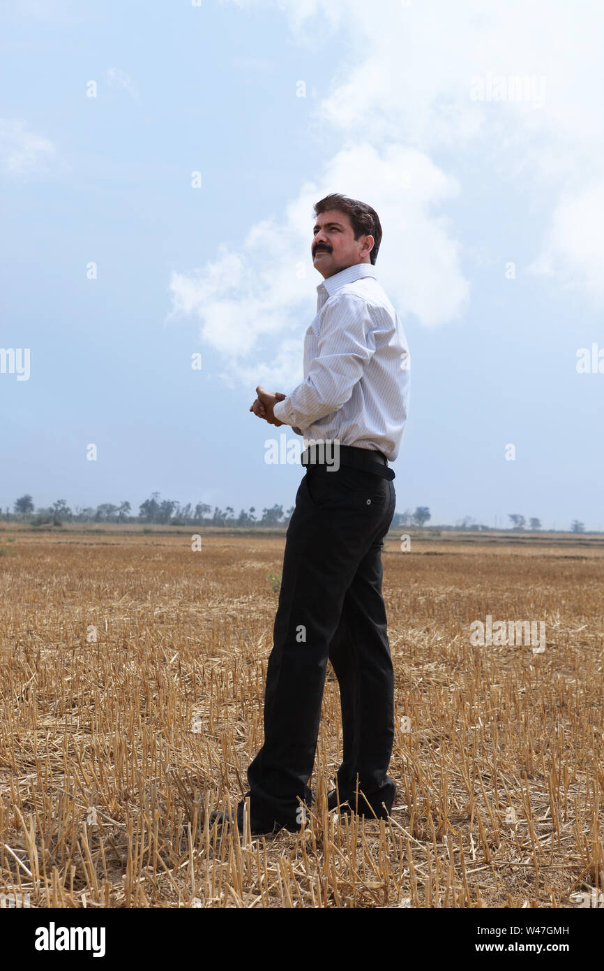 Executive standing in a harvested field Stock Photo