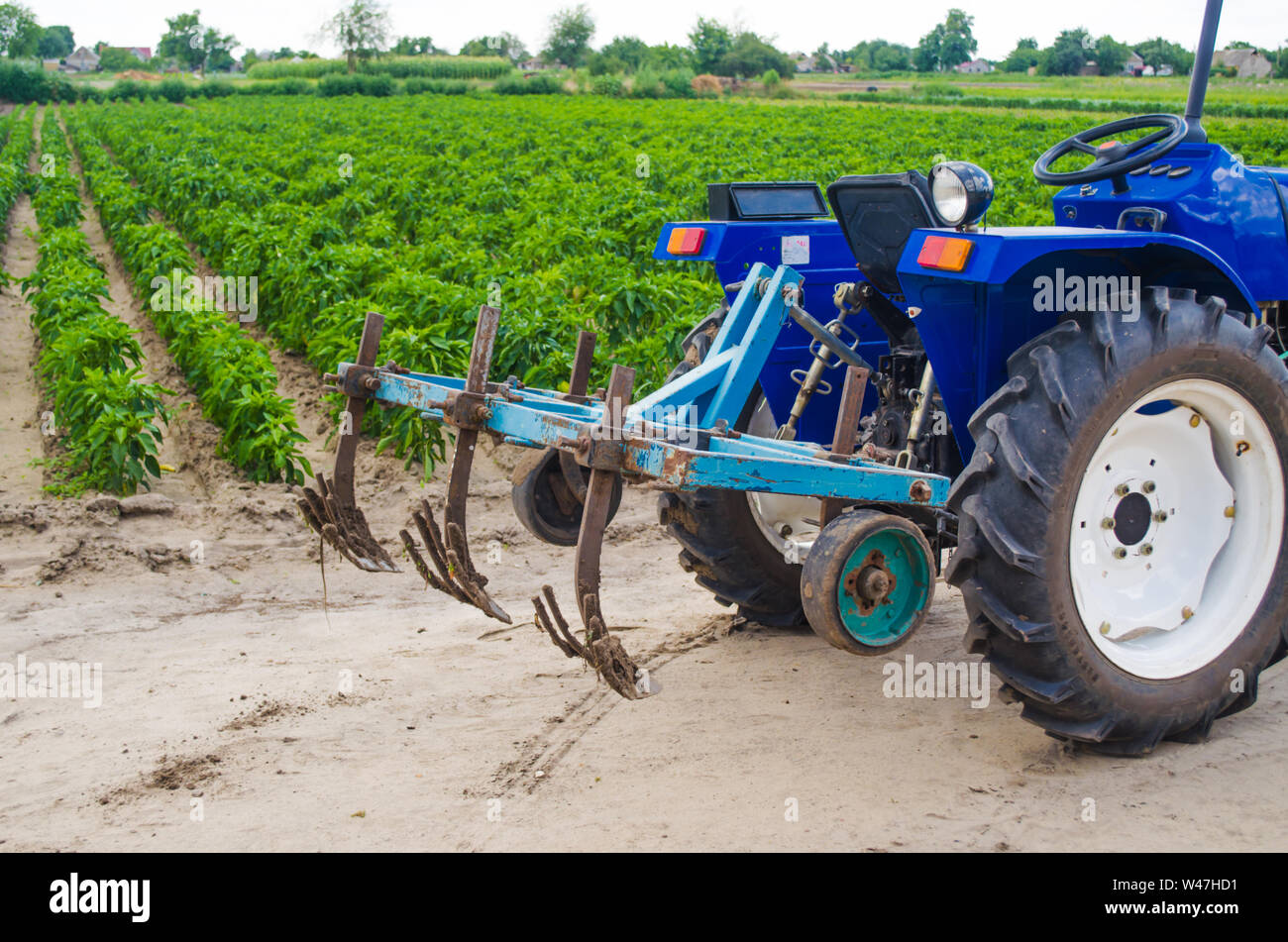 Blue tractor with a cultivator plow and the green field of the