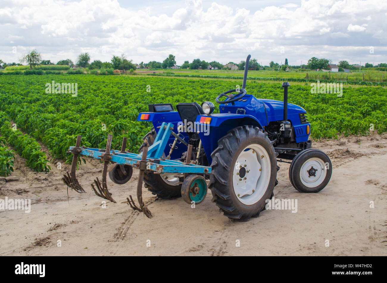 Blue tractor with a cultivator plow and the green field of the