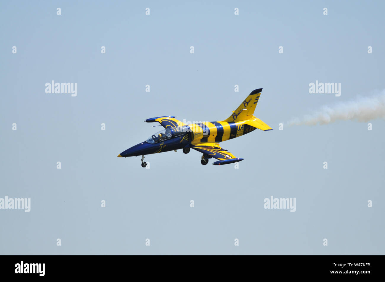 Largest bees hi-res stock photography and images - Alamy